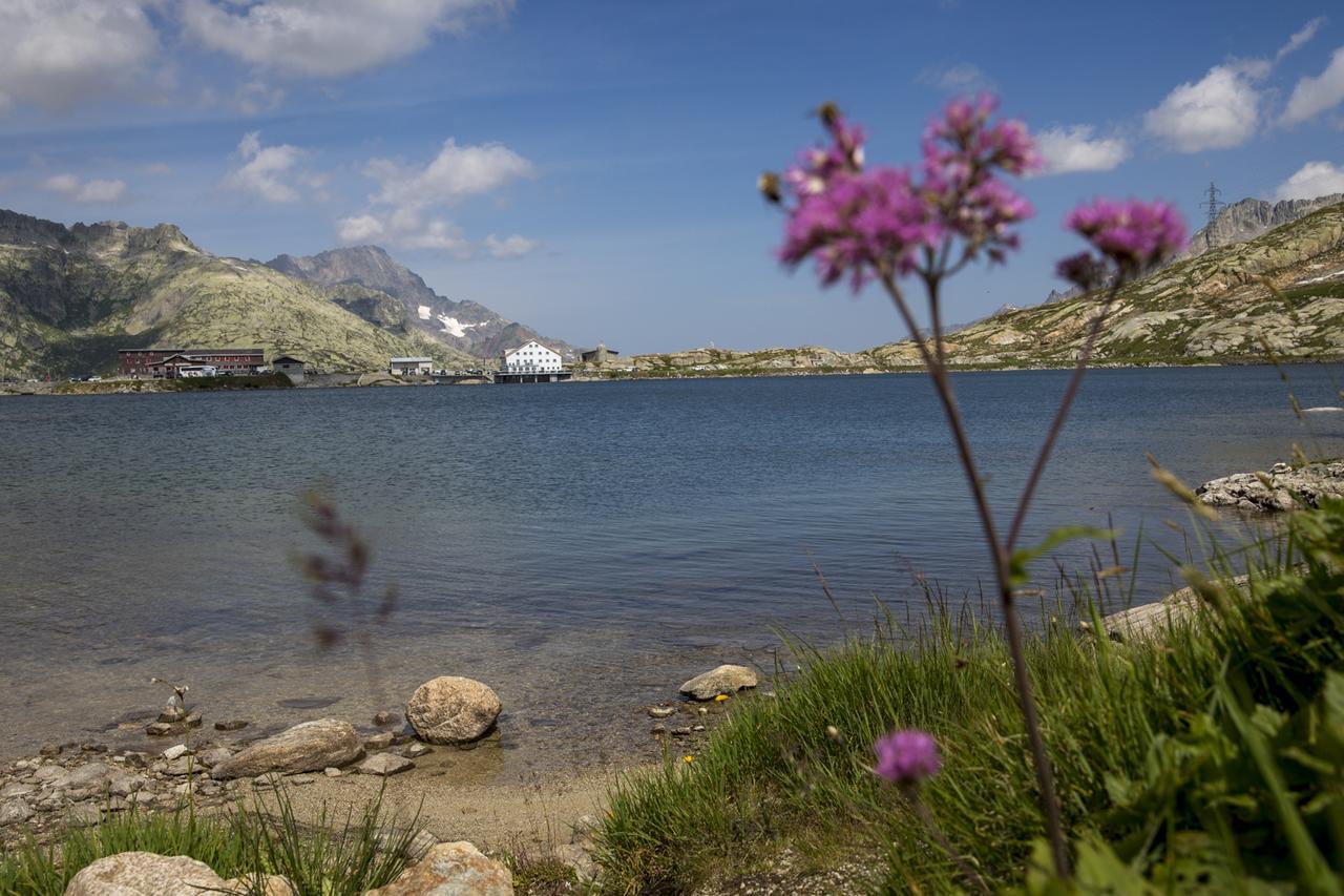 Hotel Grimsel Passhoehe オーバーヴァルト エクステリア 写真